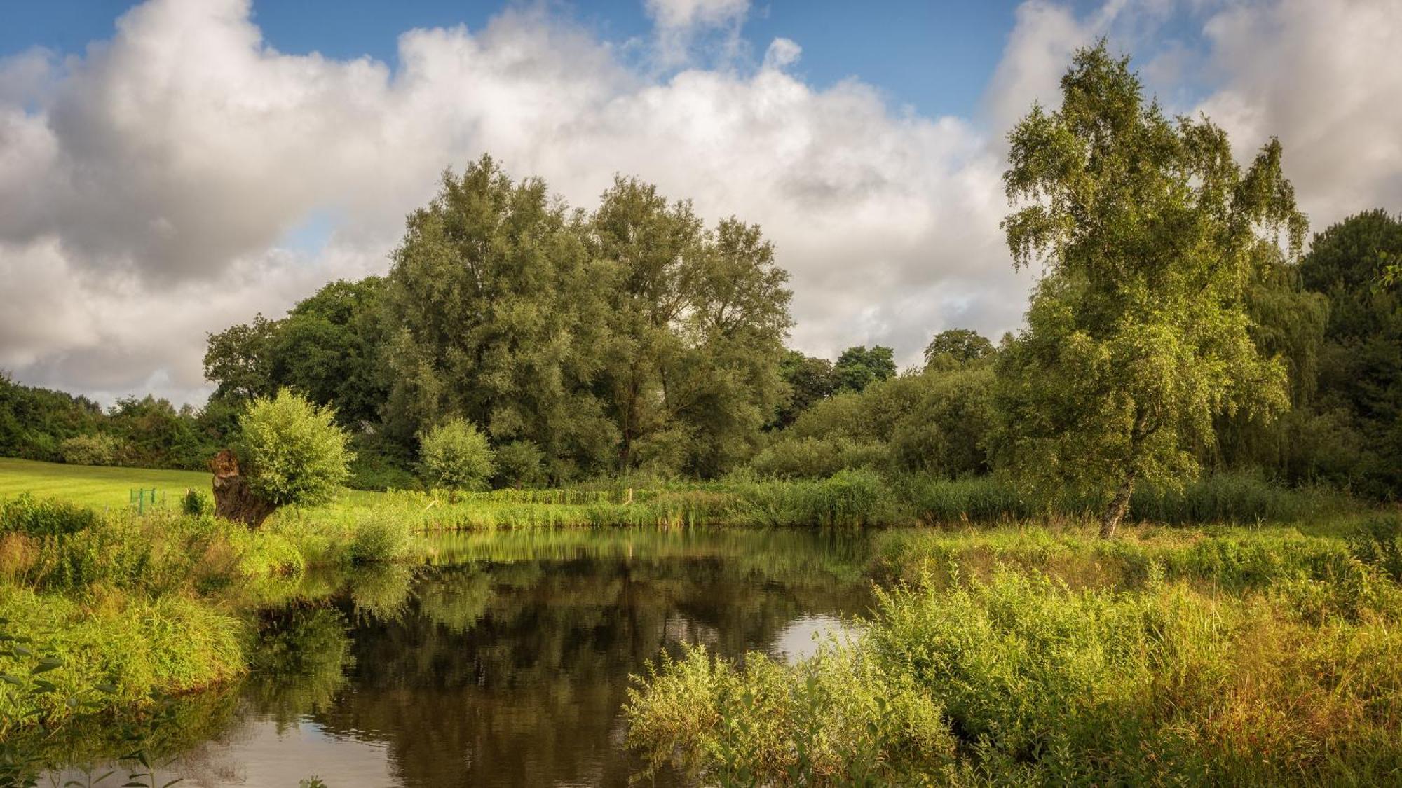 J1 Idyllisches Mit Seeblick Holiday home *